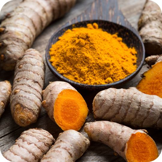 Fresh turmeric roots and ground turmeric in a bowl on a rustic wooden surface.