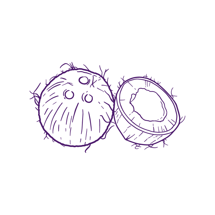 Hand-drawn icon of a whole and halved coconut in purple outline.