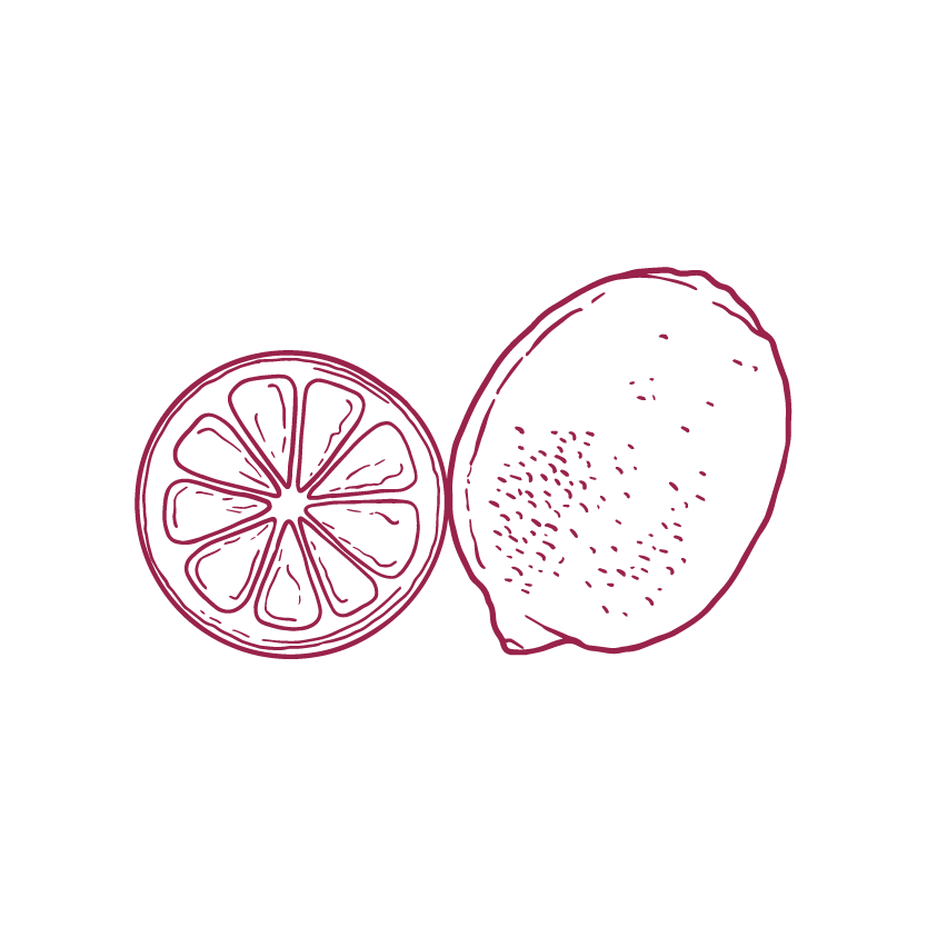 Hand-drawn icon of a whole lime and a lime slice, outlined in red.